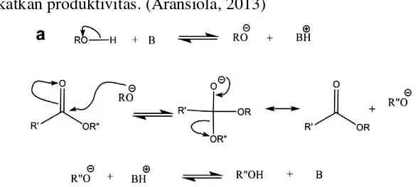 Gambar 2. 6 Mekanisme reaksi transesterifikasi menggunakan katalis basa 