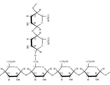 Gambar 2. Rumus Struktur Amilopektin  