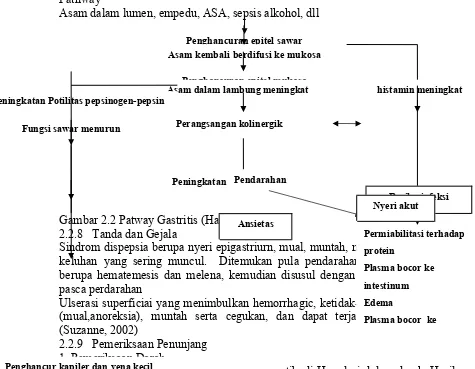 Gambar 2.2 Patway Gastritis (Hadi, 2007).Ansietas