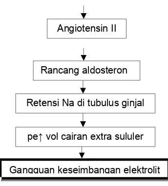 Gambar 1 Pathway Hipertensi(Sumber : Nanda Nic Noc, 2013)