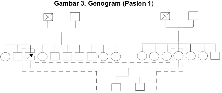 Gambar 3. Genogram (Pasien 1)