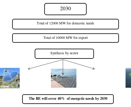 Figure 8: Renewable Energy Program of the Algerian Government, February 2011 