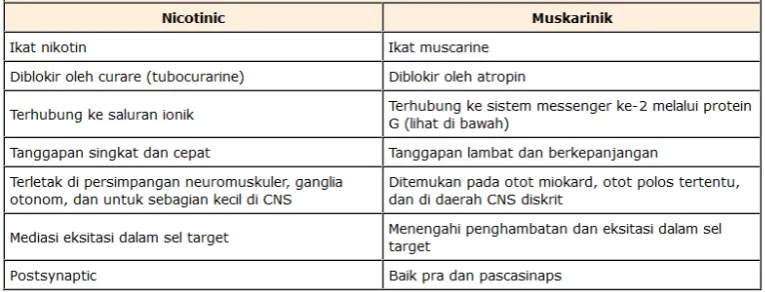 Tabel 2. Sifat Reseptor Nikotinik dan Muskarinik(9)