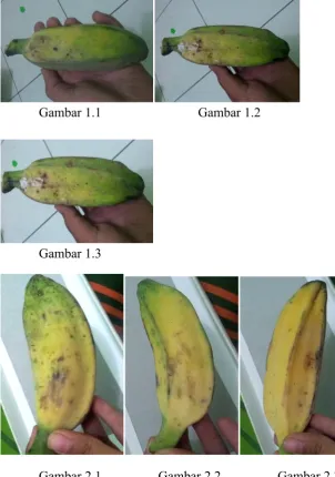 Gambar 1.1Gambar 1.2