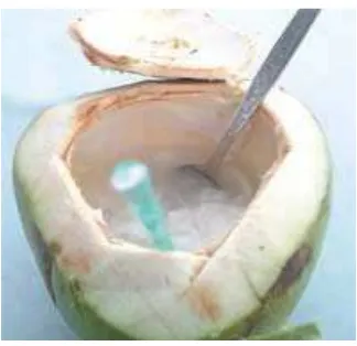 Gambar 2.2 Air kelapa 