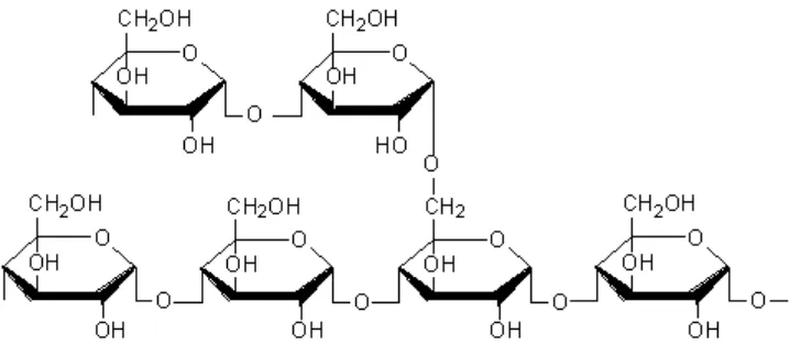 Gambar 2.12 struktur amilosa 