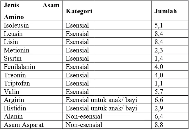 Tabel 1 . Komposisi asam amino daging sapi segar (% protein kasar)