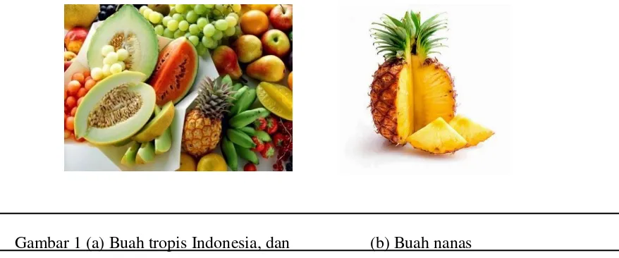 Gambar 1 (a) Buah tropis Indonesia, dan  