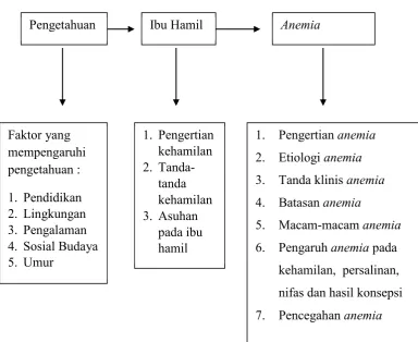 Gambar 2.1 Kerangka Teori 