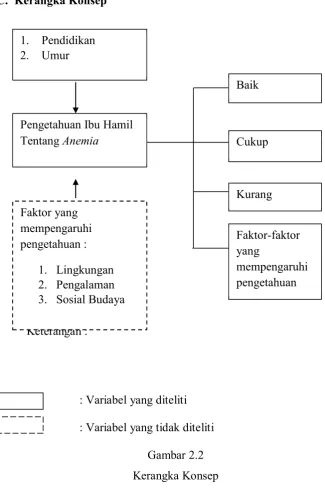 Gambar 2.2 Kerangka Konsep 