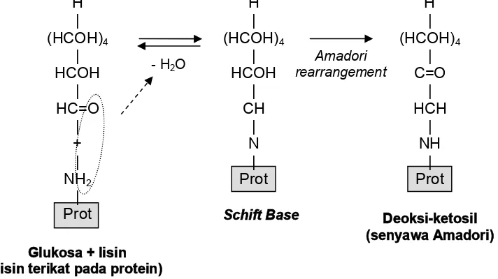 Gambar 8.1. Reaksi antara gugus aldehid glukosa dengan gugus amino lisin yang terikat pada protein (reaksi Maillard awal).
