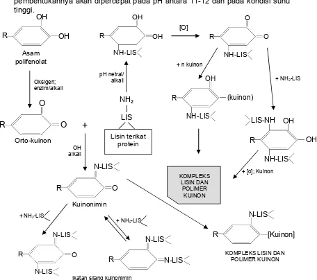 Gambar 8.3. Reaksi pembentukan senyawa kompleks antara protein dan senyawa polifenol.
