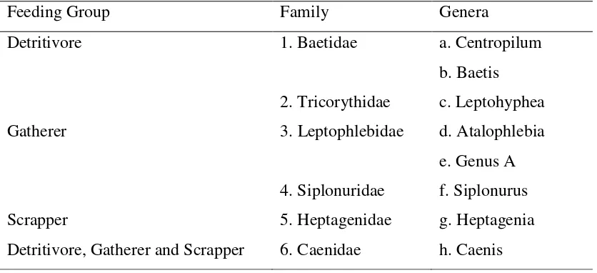Tabel 1. Kelompok makan semua anggota Ephemeroptera berdasarkan penelitian (ICBS 2009 BIO-UGM Hadisusanto dan Kristanto, 2009) 