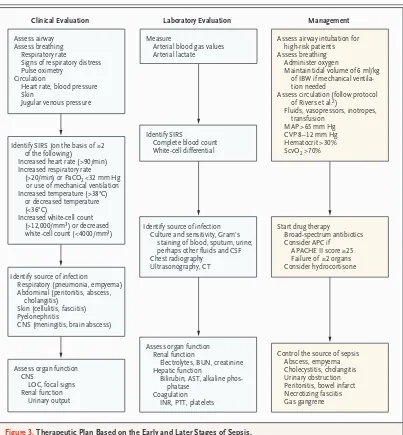Figure 3. Therapeutic Plan Based on the Early and Later Stages of Sepsis.use of vasopressin, intensive insulin, and corticosteroids is controversial