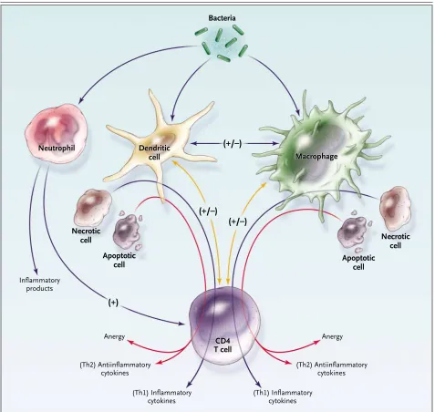 Figure 1. The Response to Pathogens, Involving “Cross-Talk” among Many Immune Cells, Including Macrophages, Dendritic Cells, and CD4 