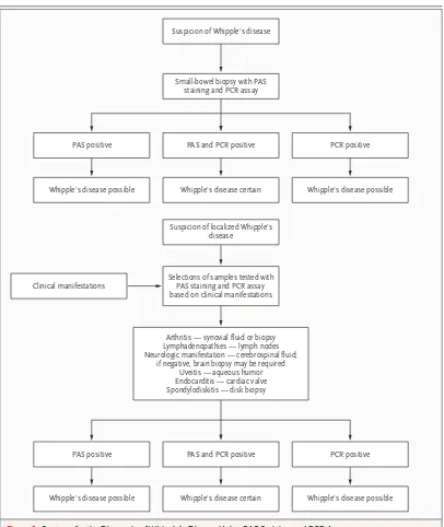 Figure 2. Strategy for the Diagnosis of Whipple’s Disease Using PAS Staining and PCR Assay.The sampling hierarchy depends on the clinical manifestations of the disease and the interpretation of the obtained results
