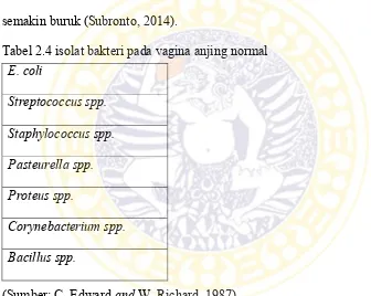 Tabel 2.4 isolat bakteri pada vagina anjing normal 