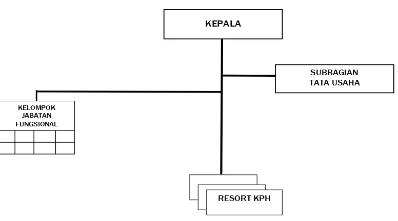 Gambar 1. Bagan Struktur Organisasi KPHL dan KPHP Provinsi dan Kabupaten/Kota Tipe A 