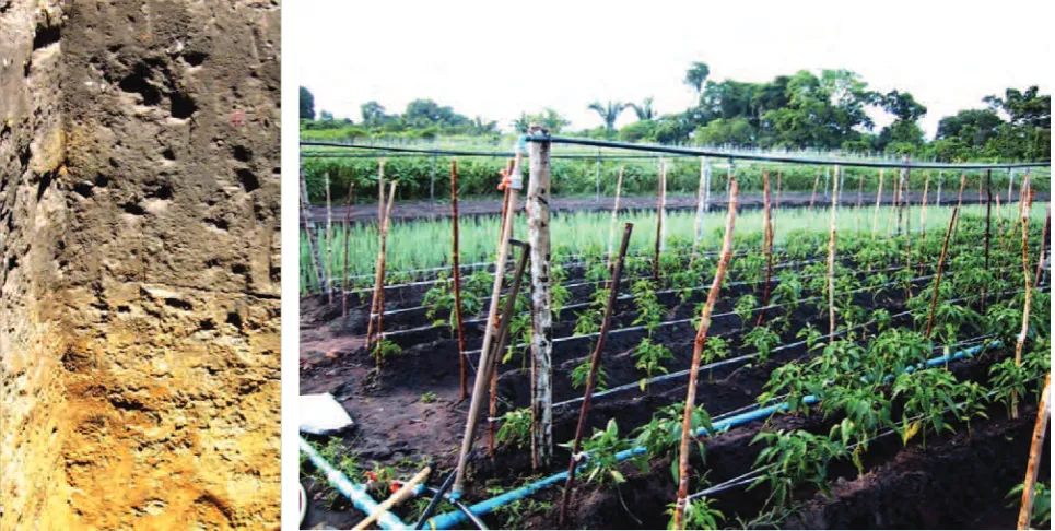 Figure 2. shows the values of soil organic carbon (SOC) and its implications on the environment, agronomy, and quality of life