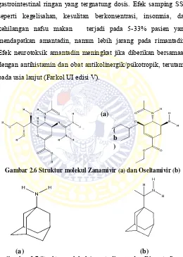 Gambar 2.7 Struktur molekul Amantadine (a) dan Rimantadine 