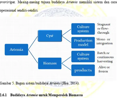 Gambar 5. Bagan sistem budidaya Artemia (Hoa, 2014). 