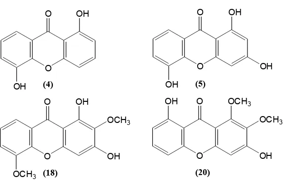 Tabel 2.1. Distribusi senyawa santon sederhana tumbuhan Calophyllum 