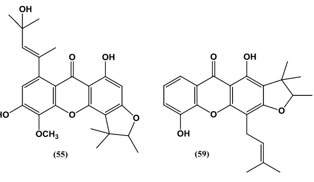 Tabel 2.3. Distribusi senyawa furanosanton tanaman Calophyllum 