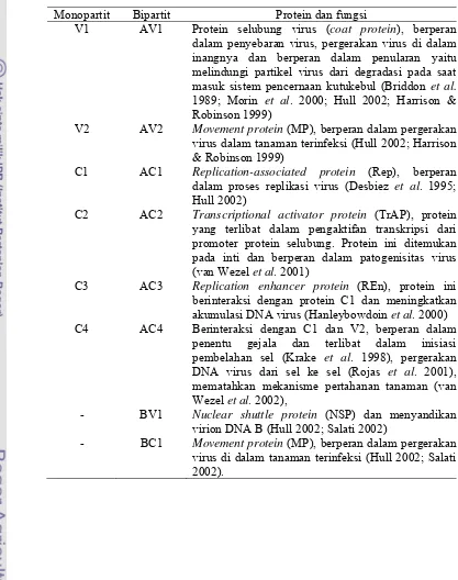 Tabel 1  Jenis dan fungsi gen Begomovirus 
