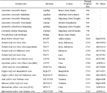 Tabel 3  Daftar Geminivirus yang digunakan untuk Analisis Kekerabatan 