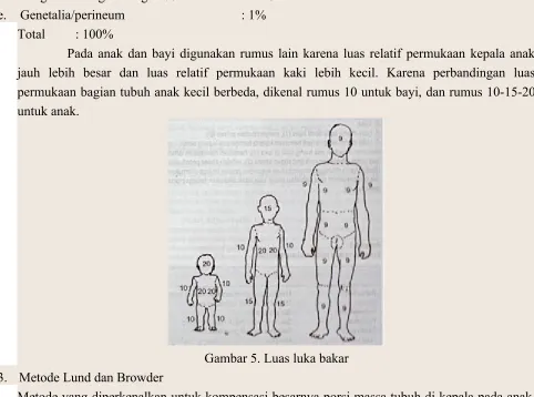 Gambar 5. Luas luka bakar