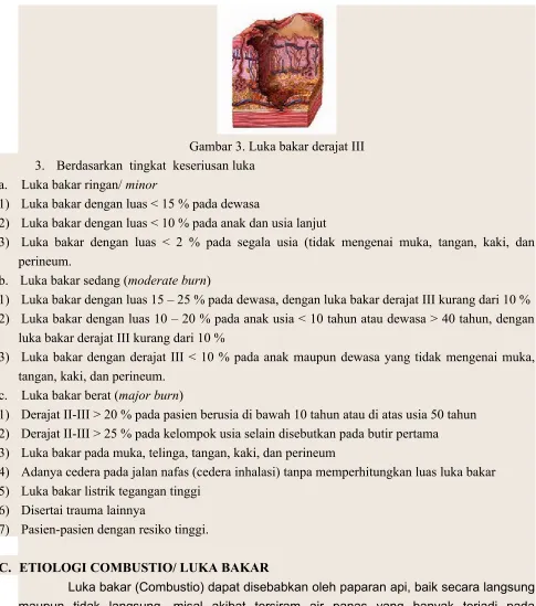 Gambar 3. Luka bakar derajat III
