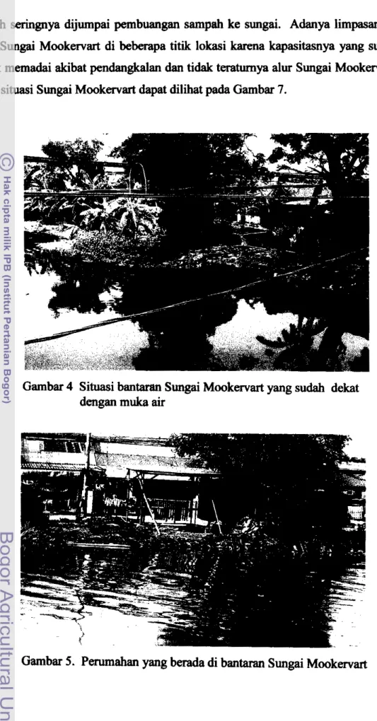 Gambar  4  Situasi bantaran Sungai Mookervart yang sudah  dekat 