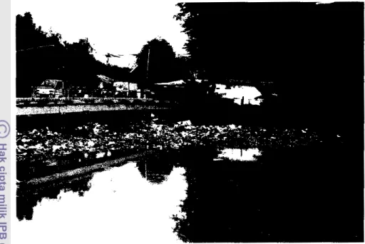 Gambar  6  Sampah yang  berada di  tepi Sungai Mookervm 