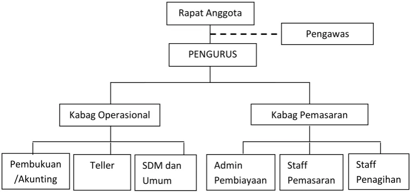 Gambar 3.1 Struktur Organisasi BMT Syamil 