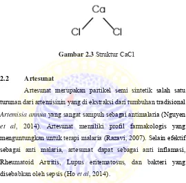 Gambar 2.3 Struktur CaCl 