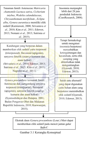 Gambar 3.1 Kerangka Konseptual 