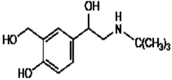 Gambar 2.3 Struktur kimia salbutamol (Sweetman, 2009)  