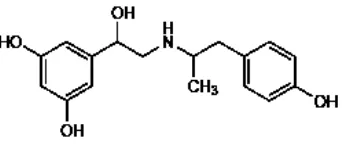 Gambar 2.4 Struktur kimia fenoterol (Sweetman, 2009)  