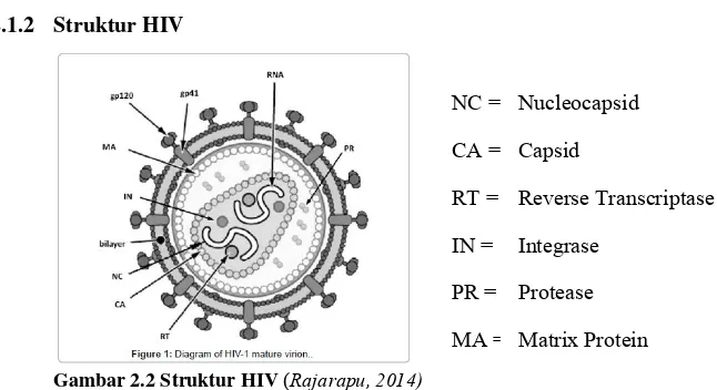 Gambar 2.1 CFR AIDS tahun 2000 sampai Maret 2015 