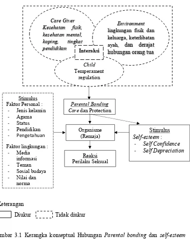 Gambar 3.1 Kerangka konseptual Hubungan Parental bonding dan self-esteem dengan Perilaku Seksual pada Remaja Berdasarkan Teori Child Health Assesment oleh Kathryn E