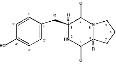 Gambar 5. Struktur molekul  senyawa aktif  yang dihasilkan  oleh Streptomyces sp A11