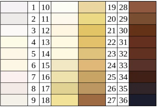 Gambar 2. 4 Skala warna kulit Massey-Martin 
