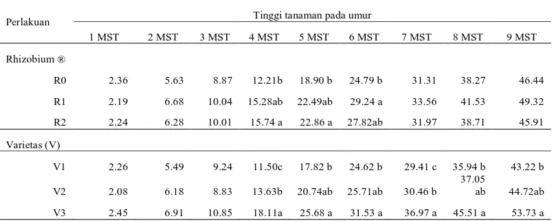 Tabel 1: Rataan Tinggi tanaman pada aplikasi rhizobium dan beberapa varietas 1-9 MST 
