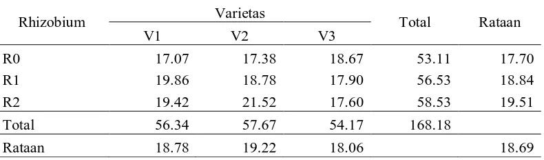 Tabel 6. Rataan berat polong per sampel (g) pada aplikasi rhizobium dan beberapa varietas 
