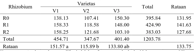 Tabel 7. Rataan berat polong per plot (g) pada aplikasi rhizobium dan beberapa  varietas 