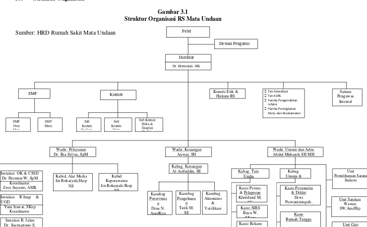 Gambar 3.1Struktur Organisasi RS Mata Undaan