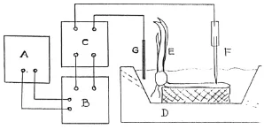Gambar 3.2: Perancangan alat penelitian. Keterangan: A. Plotter, B. Elektrometer, C. Injeksi arus, D