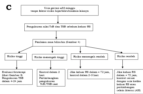 Gambar 34. Algoritma Manajemen dan Kontrol Hiperbilirubinemia Neonatal  (Modifikasi dari Maisles et al35) 