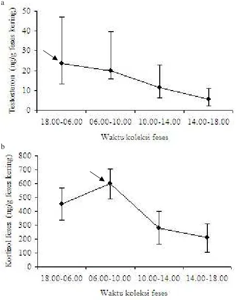 Gambar 1. a. Pola diurnal testosteron di dalam feses owa (ng/g feseskering), sekresi  tertinggi terjadi pada jam 18.00-06.00; b.Pola diurnal hormon kortisol di dalam feses (ng/g feseskering), sekresi tertinggi terjadi pada pukul 06.00-10.00.