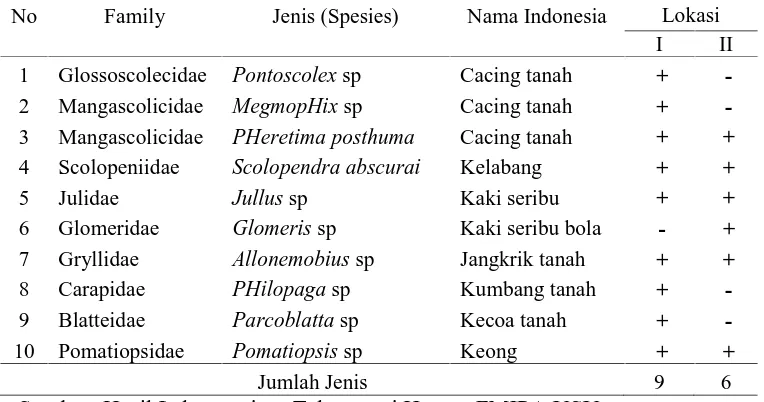 Tabel 10. Makrofauna Tanah yang Ditemukan di Perkebunan Kakao Rakyat  di Serukei Aceh Utara  